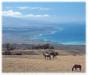  Big Island Activities
